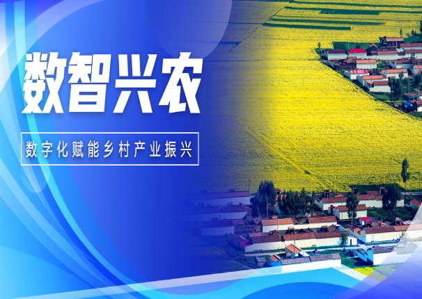 数智兴农 中国系统打造县域农业产业发展新动能